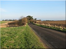 NT6183 : Scoughall Farm road by Callum Black