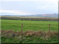 Looking towards the Aros Moss from Machrihanish road.