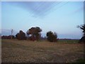 Arable Field near Bilsham