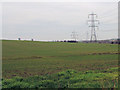 Pylons stretching across fields