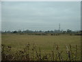 Farmland at Cottam