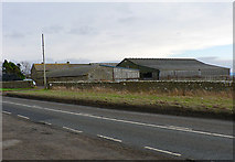 NZ0168 : Farm at Carr Hill, Northumberland by Chris Tweedy