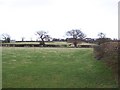 Countryside East of Sawley