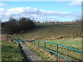 Footbridge on path between Shakerley and Atherton