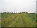 Field track looking north