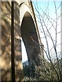 Ballochmyle Viaduct