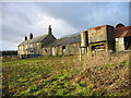 Fallowlees on the eastern edge of Harwood Forest