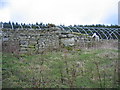 Fallowlees Bastle, remains