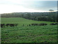 Countryside north of Glenavy