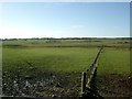 Looking over Cladance Moss