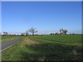 Unfenced Road near Chignall Smealy