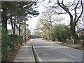 Highwood Road, Loves Green