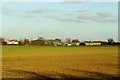 Farmland and nurseries near Southend