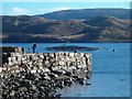 Fishing off Crarae Pier