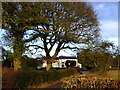 Red Lion Inn, near Shatterford