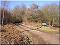 Cycle Track, Forest of Dean.