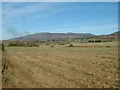 Farmland near Garndolbenmaen