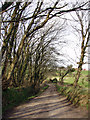 Lane to Bosence Farm