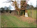 Triangulation Point at Nobles Green