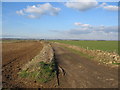 Cotswold farmland