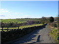 Brackenley Lane, Embsay