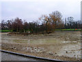 Hailsham Common Pond