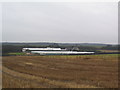 Greenhouses near Castle Bytham