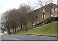 New Housing on a Northern Slope