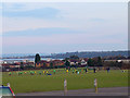 Playing Fields at Filton