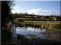 River Itchen, west of Alresford