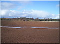 Muddy Field and Another Attractive Cottage