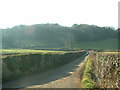 Lane near Glanwydden