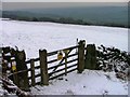 Gate on Public Bridleway to Moorcock ...