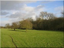 SP1554 : Footpath to Drayton Farm by David Stowell