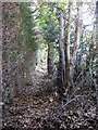 Footpath at Scotts Hill, Lower Hartlip