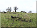 H3956 : Standing stones at Crocknafarbrague by Kenneth  Allen