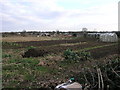 Oxcroft Lane Allotments