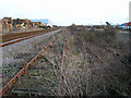 Overgrown sidings, Newhaven