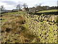 Dry Stone Wall at Langbar