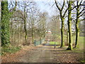 Chain Walk, Taylor Park