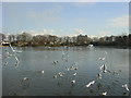 Big Dam, Taylor Park, St Helens