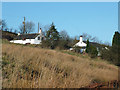 Pair of white houses