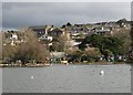 Helston from the ornamental lake