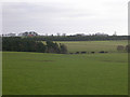 Gibbet Hills viewed from Fir Tree