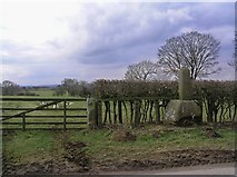 SE7388 : High Cross remains by Colin Grice