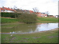 Fridaythorpe, Duck Pond