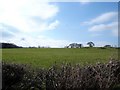 Green fields and blue skies