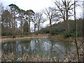 Pond next to the A322