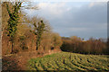 Lydeard St Lawrence: near Hoccombe Ford Farm