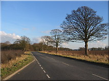 SE9740 : Layby on the A1079 by Stephen Horncastle